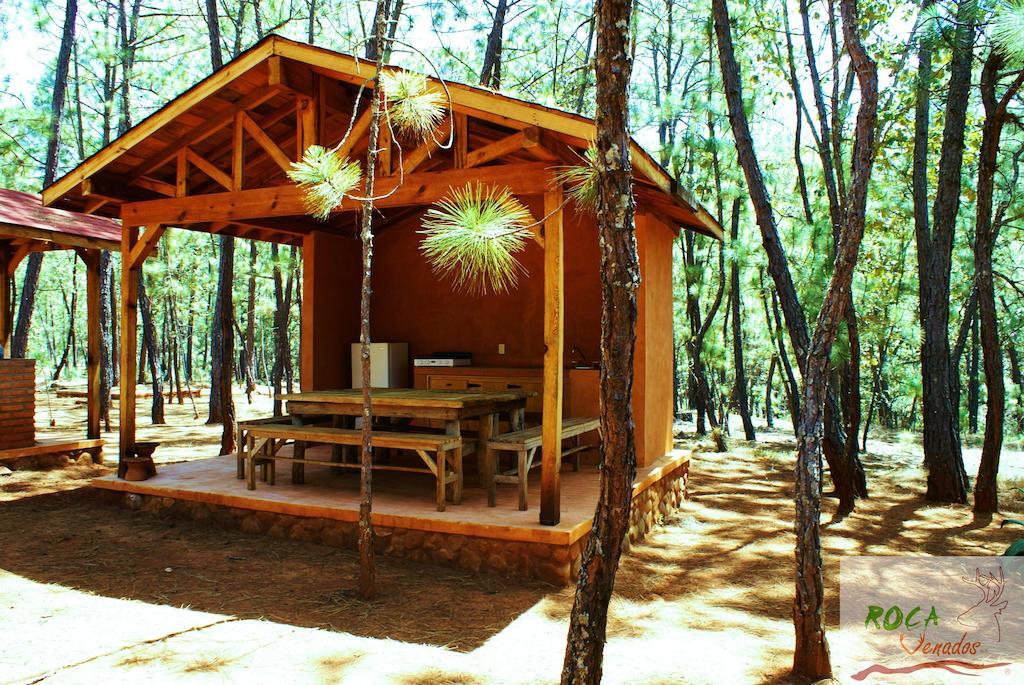 Rocavenados Villa Mascota Habitación foto