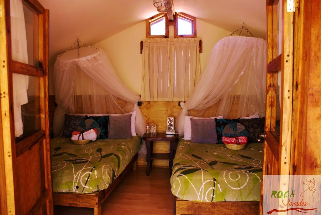 Rocavenados Villa Mascota Habitación foto